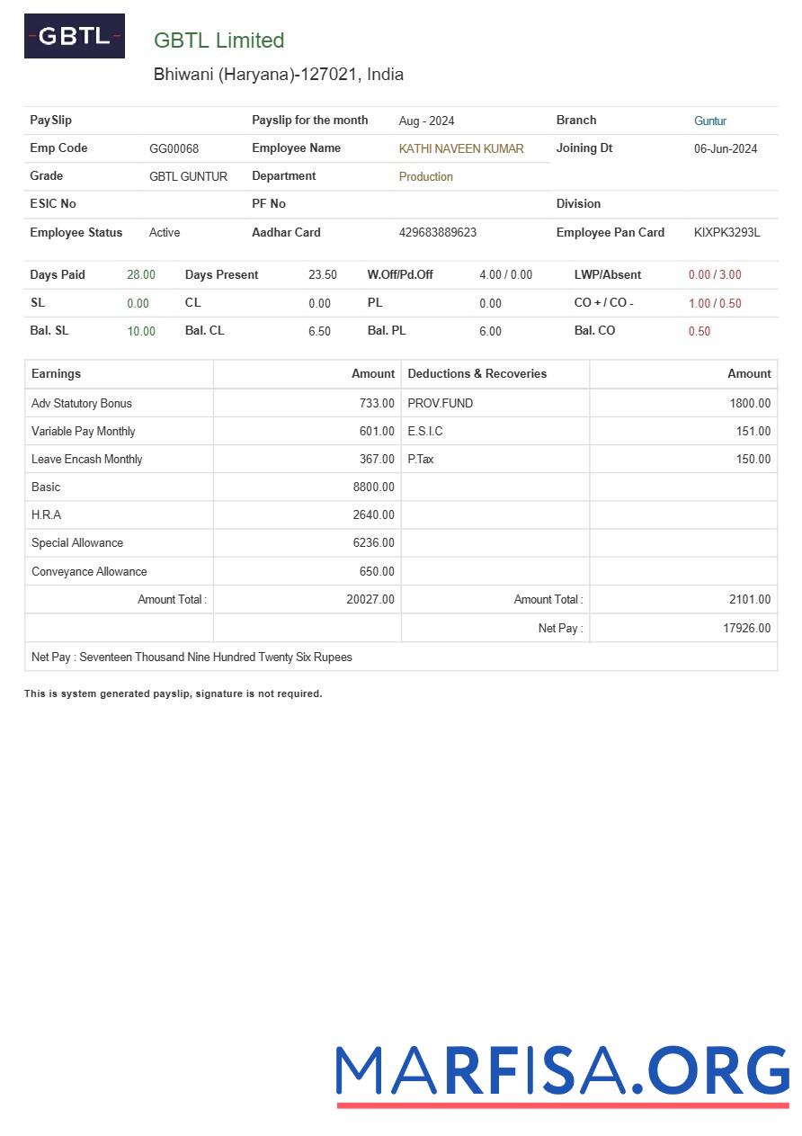Realistic GBTL Limited textile company payslip real example